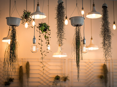 智能代码补全的轰炸短信在线使用